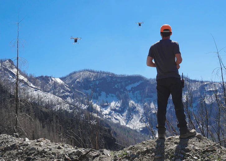 Mast Reforestation image of person flying drones over mountain region to inspect condition of forest.